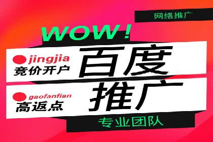 信息流广告代运营公司案例：打造高效营销解决方案